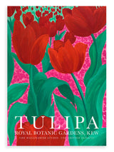 Tulipa 2nd Edition A4 & A3 Print