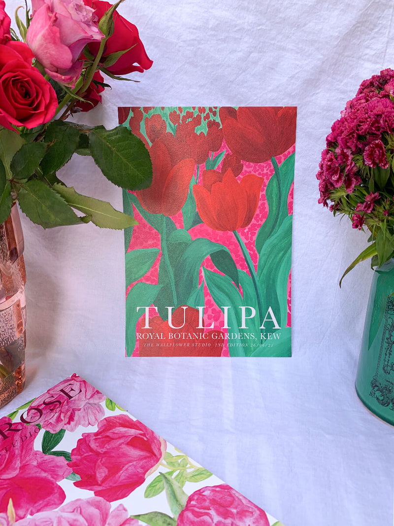 Tulipa 2nd Edition A4 & A3 Print